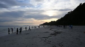 Andaman Family Packages from Chennai