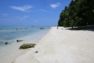 Andaman family Packages from Chennai