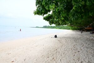Andaman family Packages from Chennai