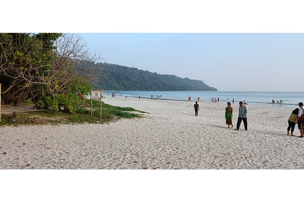 Andaman Family Packages Cost