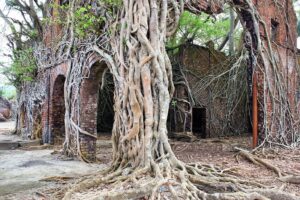 Ross Island Port Blair Andaman Nicobar Islands