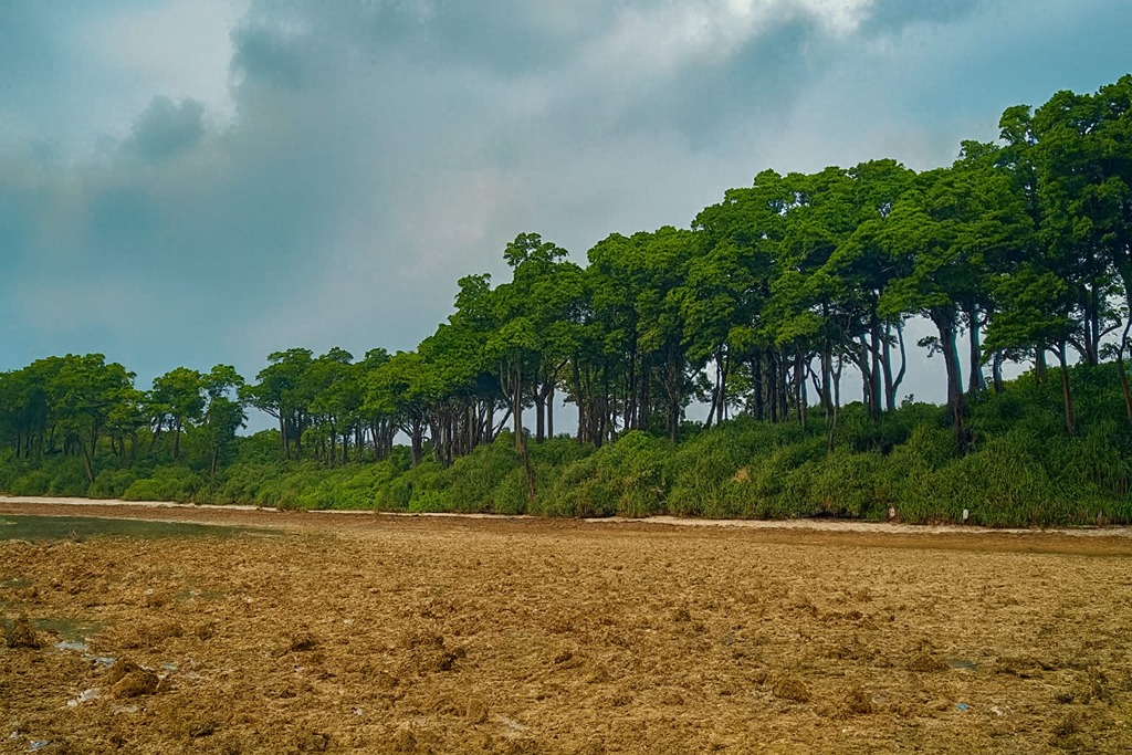 natural rock formation neil island - Shaheed Dweep, Andaman Nicobar Islands