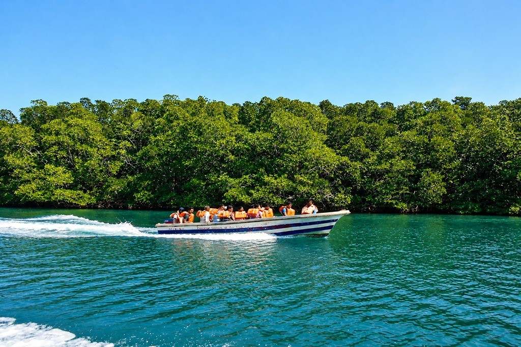 Baratang Island Andaman – Andaman Tour from Mumbai