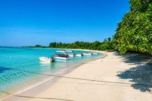 Bharatpur Beach Neil Island, Andaman and Nicobar Islands