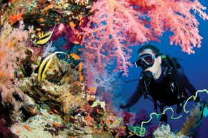 Andaman Family Packages from Chennai