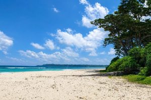 Laxmanpur Beach Neil Island, Andaman and Nicobar Islands