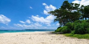 Laxmanpur Beach at Shaheed Dweep (Neil Island), Andaman and Nicobar Islands, featured in Andaman Nicobar Family Packages.