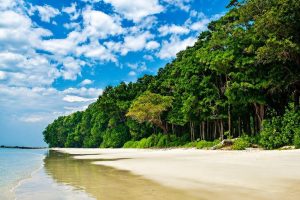 Radhanagar Beach on Havelock Island during an Andaman family tour package