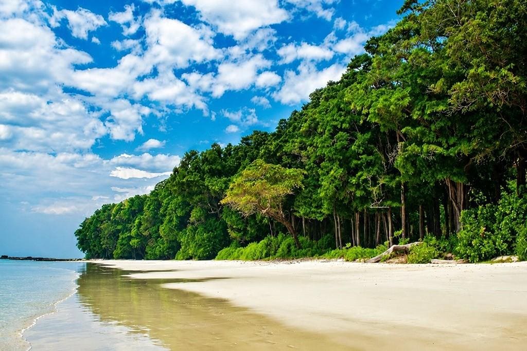 Radhanagar Beach on Havelock Island during an Andaman family tour package