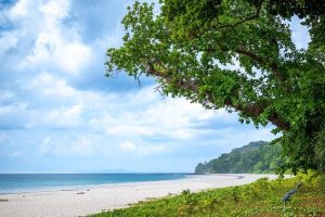 Radhanagar Beach on Havelock Island included in customized Andaman family packages