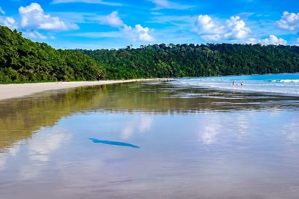 Radhanagar Beach on Havelock Island, Andaman Islands, visited during an Andaman Nicobar tour package from Mumbai
