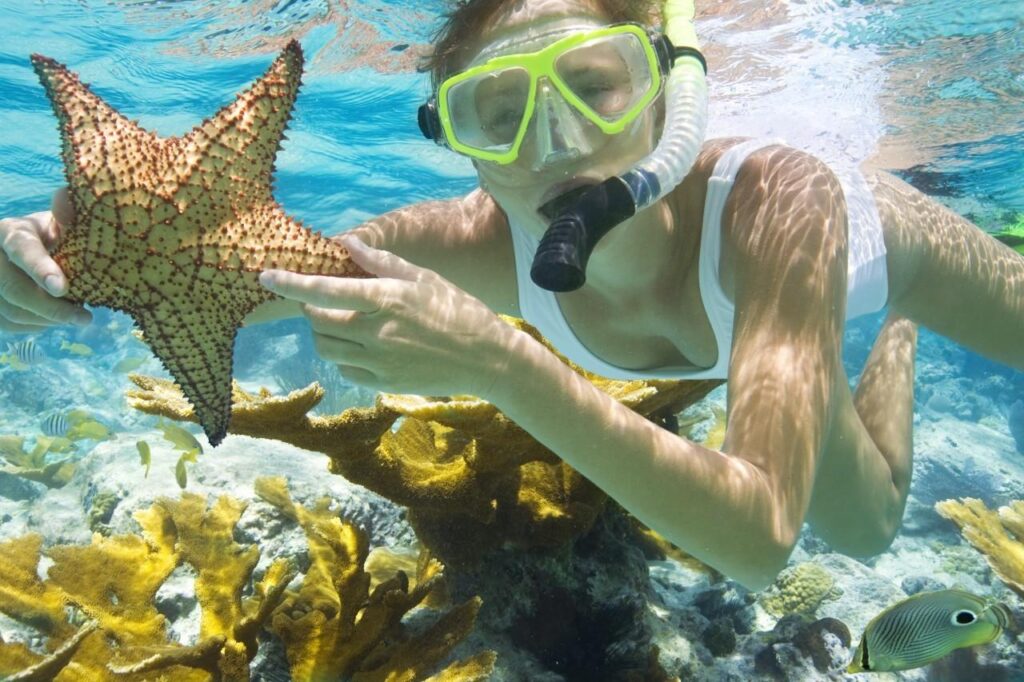 Andaman family Packages from Chennai
