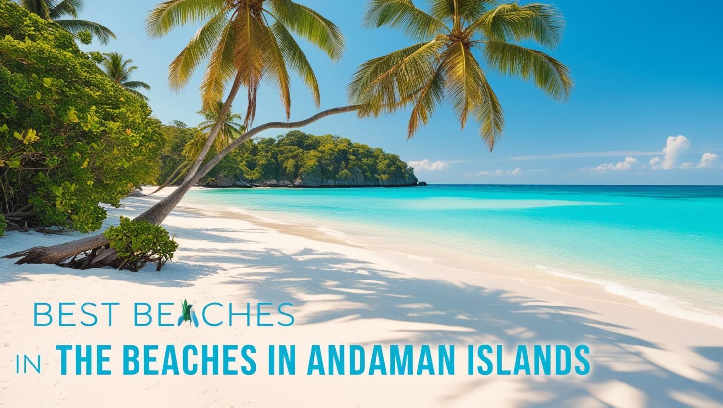 Andaman Tour Packages from Meerut