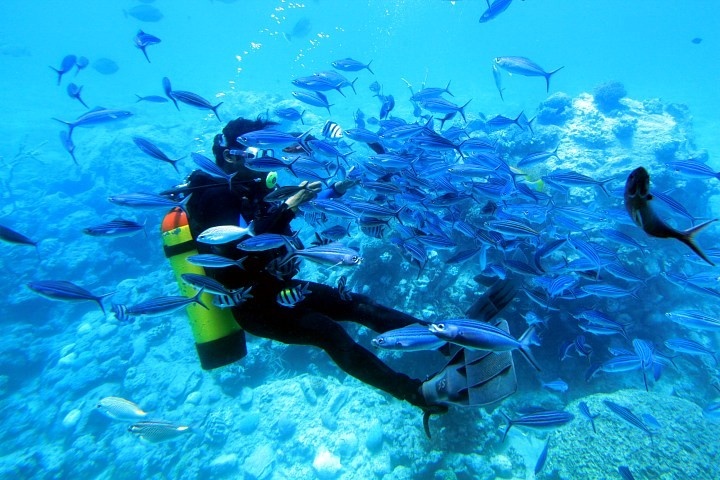 Red Sea diving excursions photo 391 Copy Andaman Travel Packages @ 12,452/-pp