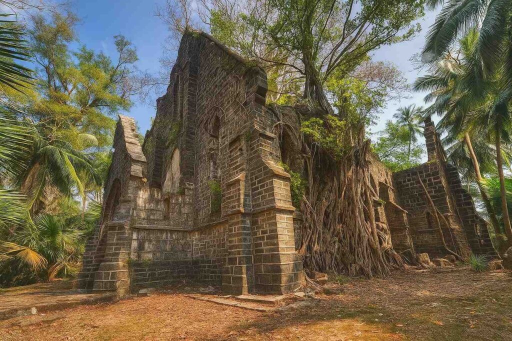 Andaman Packages Cost from Ahmedabad