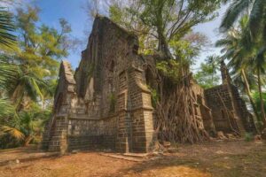 Andaman Packages Cost from Ahmedabad