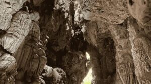 Andaman Packages Cost from Ahmedabad