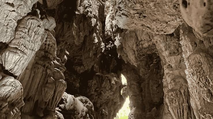 Andaman Packages Cost from Ahmedabad