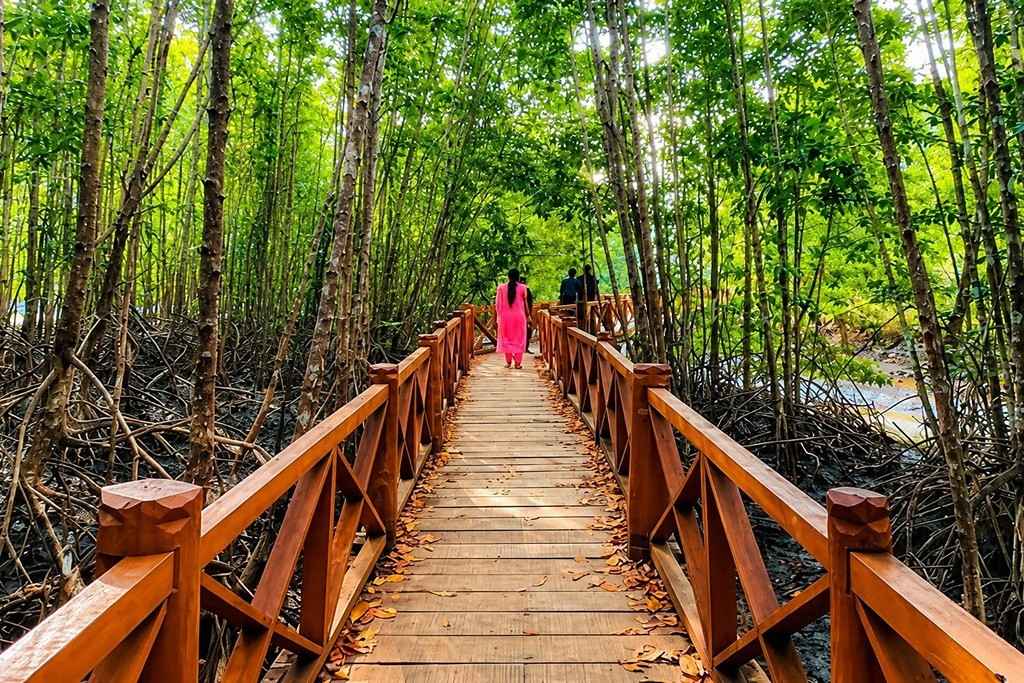 Andaman Packages from Guwahati ₹ 8,921/-pp - Andaman Ocean Tours & Travels Andaman packages from Guwahati for exploring Port Blair, Havelock and Neil Island