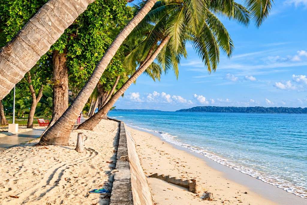 Vijaynagar Beach on Havelock Island featured in a 3 Nights 4 Days Andaman Tour Package