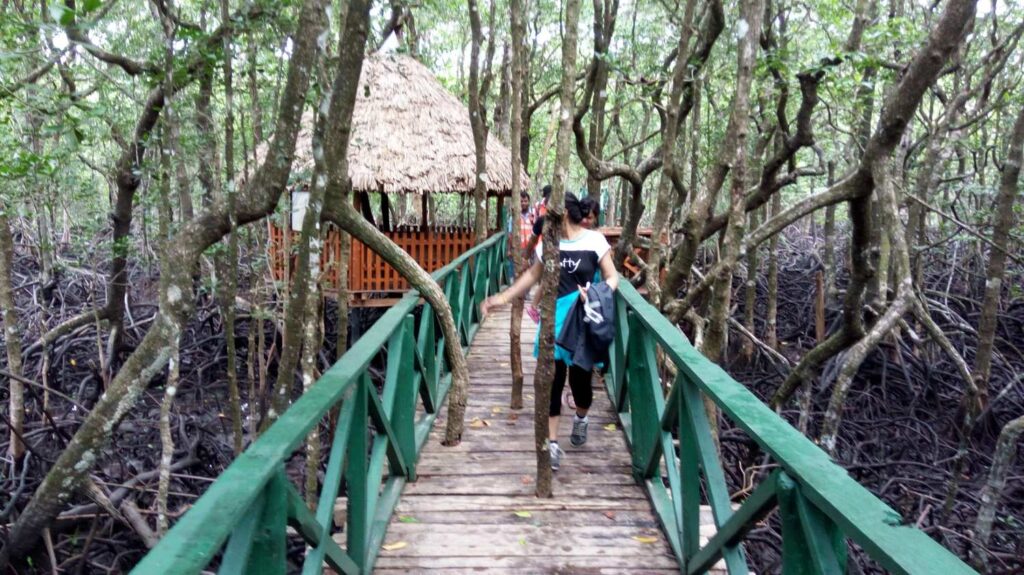 IMG 20160804 132654 Diglipur Tour Package @15000/-