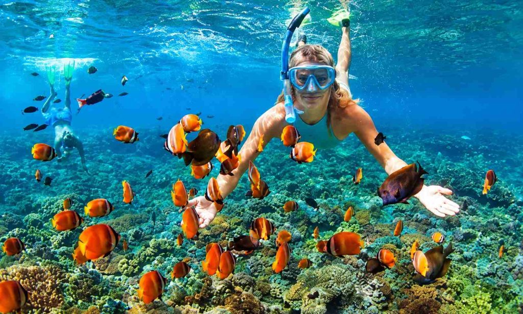 Best Places for Snorkeling in Andaman - Andaman Ocean Tours & Travels Best Places for Snorkeling in Andaman with clear water and colorful coral reefs