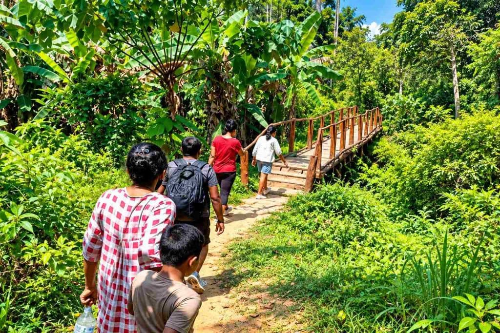 Best Places for Trekking in Andaman - Andaman Ocean Tours & Travels Best Places for Trekking in Andaman with scenic forest trails and tropical landscapes