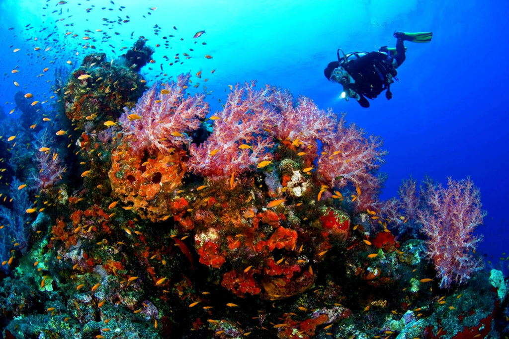 10 Nights 11 Days Andaman Itinerary
