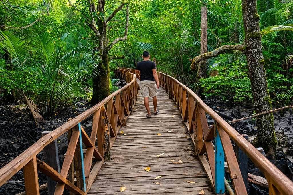 11 Nights 12 Days Andaman Itinerary covering Port Blair, Havelock Island and Neil Island
