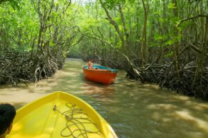 Andaman Tour Packages from Kolkata