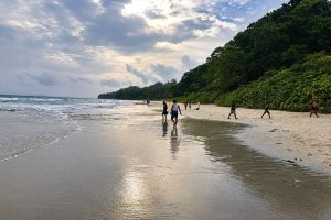 Radhanagar Beach Havelock Island on an Andaman package from Kolkata