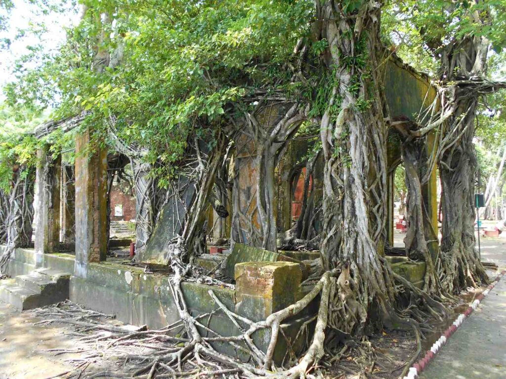 अंडमान टूर पैकेज @12,500/-प्रति व्यक्ति 7 अंडमान टूर पैकेज @12,500/-प्रति व्यक्ति DSCN1042 अंडमान टूर पैकेज @12,500/-प्रति व्यक्ति