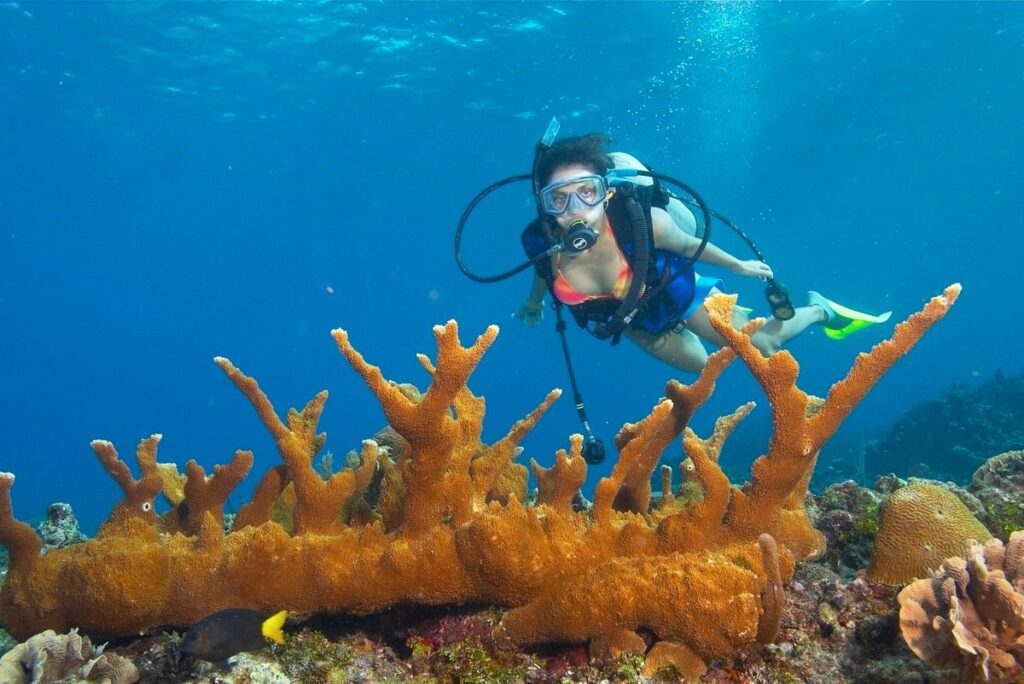 Andaman Packages Cost from Mumbai