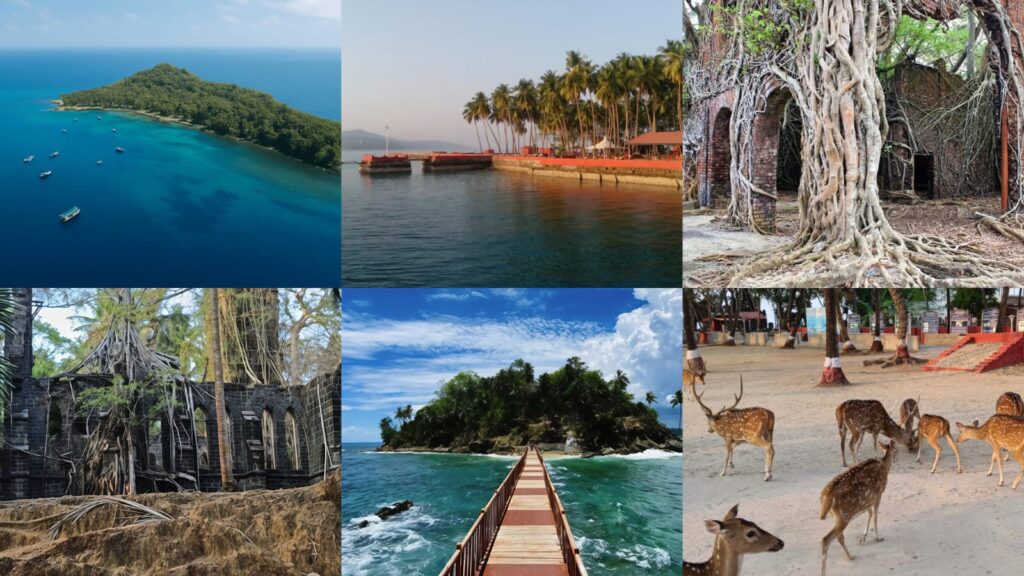 A lush green island surrounded by clear blue waters, ideal for Andaman Ocean Tours & Travels.