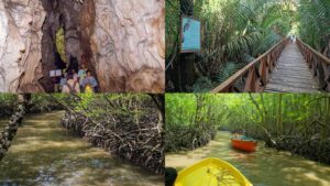 A lush mangrove forest with a wooden boardwalk and visitors exploring nature.