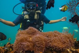 Book Scuba Diving in Havelock Island – Andaman Discover the magic of the underwater world at Havelock Island, the scuba diving capital of the Andamans. Swim alongside colorful corals, tropical fish, and vibrant marine life in crystal-clear waters. Perfect for beginners and experienced divers, guided by certified instructors for a safe and unforgettable adventure.