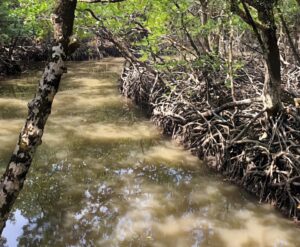 Diglipur -Ross & Smith Island - North & Middle Andaman Trip from Port Blair