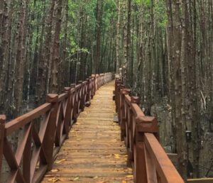 Diglipur -Ross & Smith Island - North & Middle Andaman Trip from Port Blair