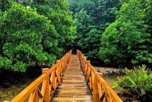 North & Middle Andaman Tour