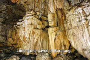 Limestone caves of Baratang with stalactites and stalagmites.