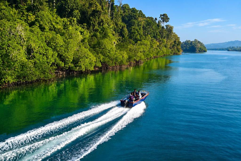 Speedboat cruising through lush green mangroves in Andaman Islands.