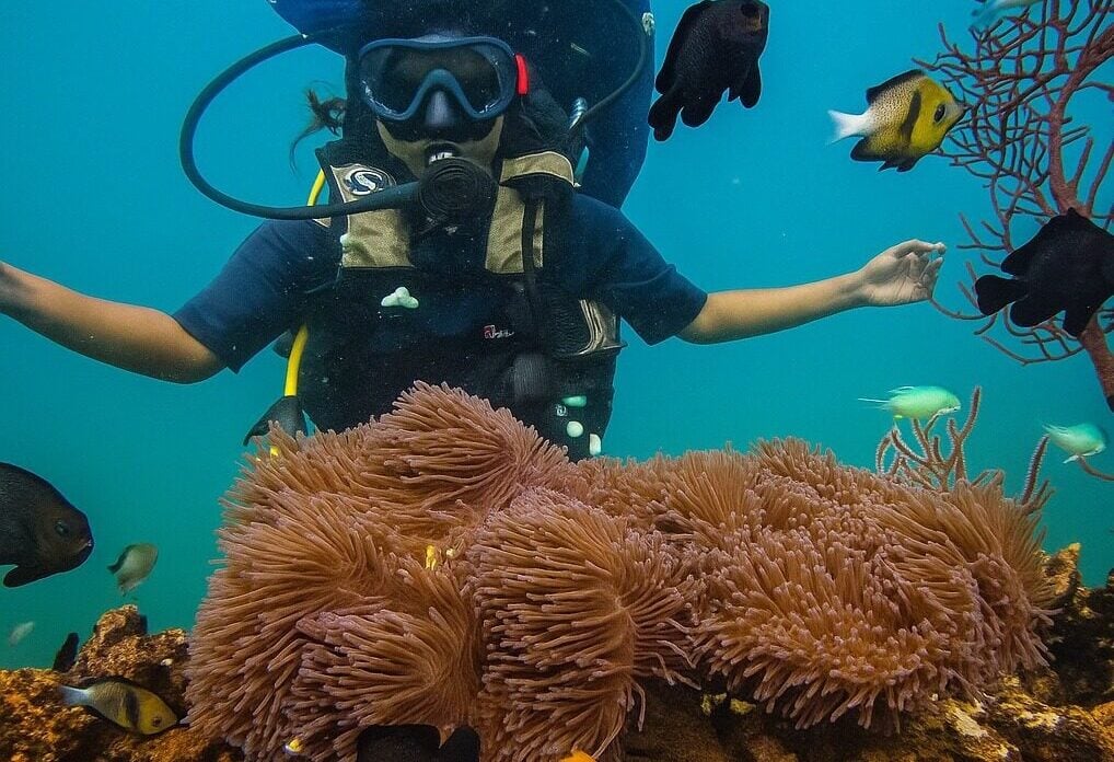 Scuba diver exploring vibrant coral reef with colorful fish in Andaman.
