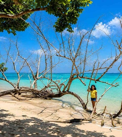 8N9D Andaman Island Packages @ 33,386/-pp