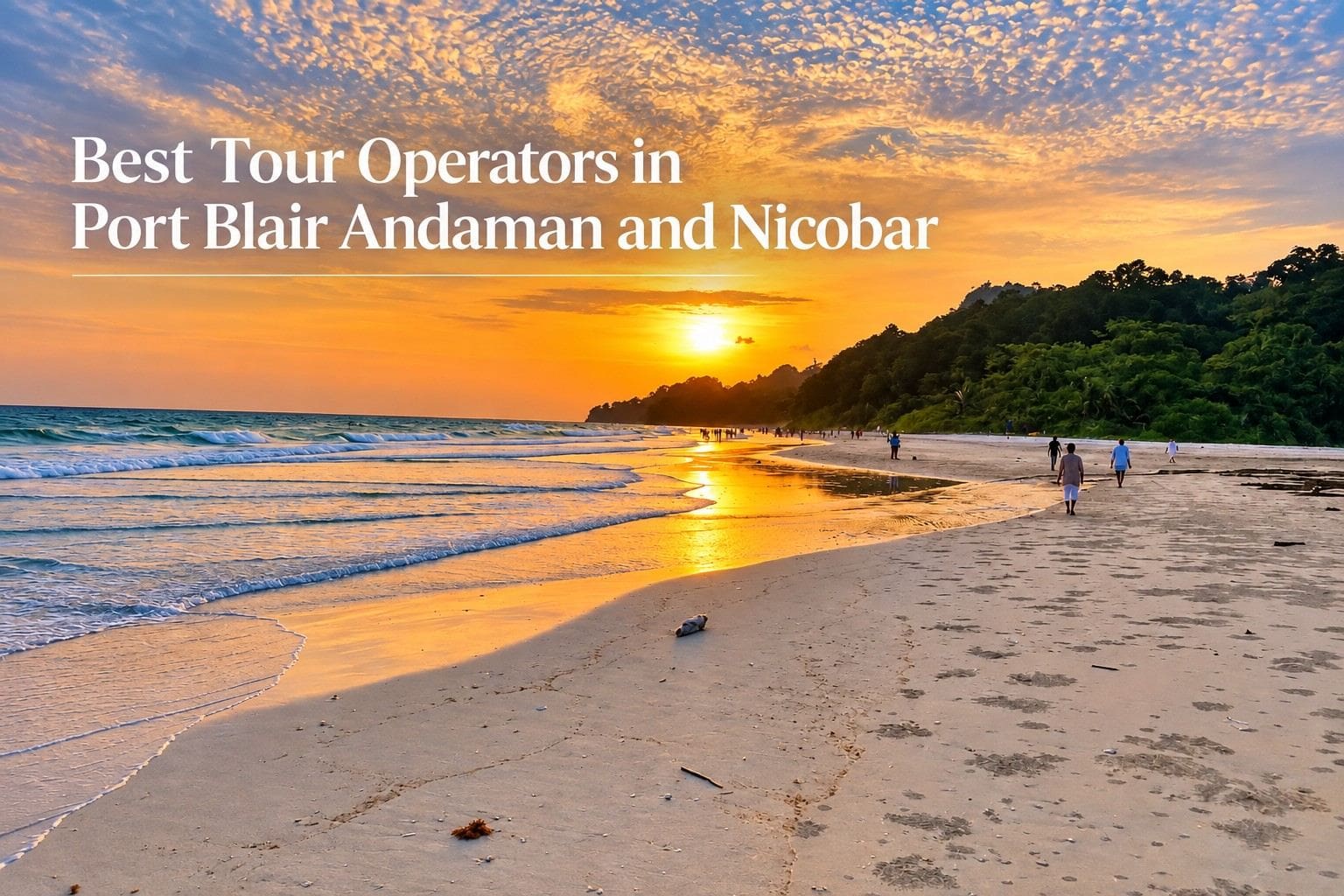 Best Tour Operators in Port Blair Andaman and Nicobar