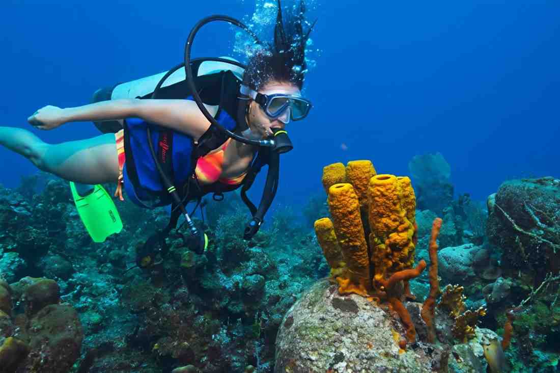 Female scuba diver exploring vibrant coral reef in Andaman Sea.