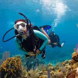 Scuba diver exploring vibrant coral reef in Andaman Sea.