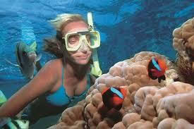 Woman snorkeling with clownfish and coral reef in Andaman Ocean Tours.