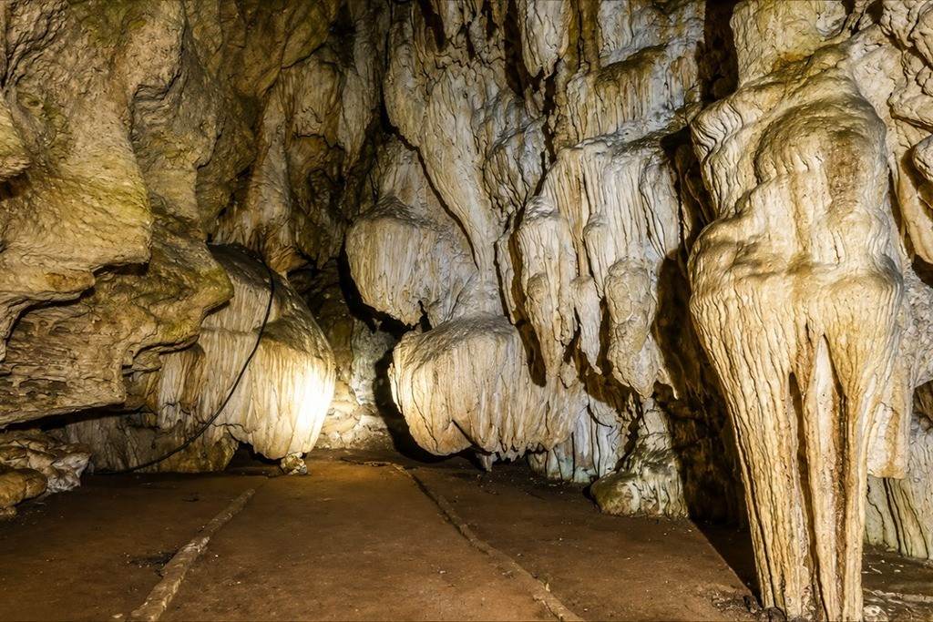 Limestone cave formations at Baratang Island in the Andaman Islands during a sightseeing day trip
