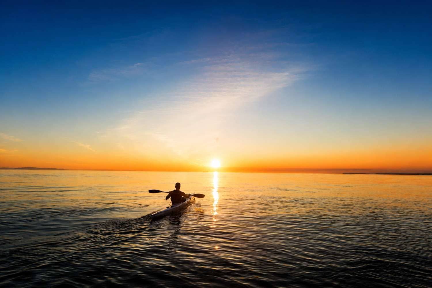 Best Things to Do in Andaman – Kayaking Through Mangrove Forests in the Andaman & Nicobar Islands
