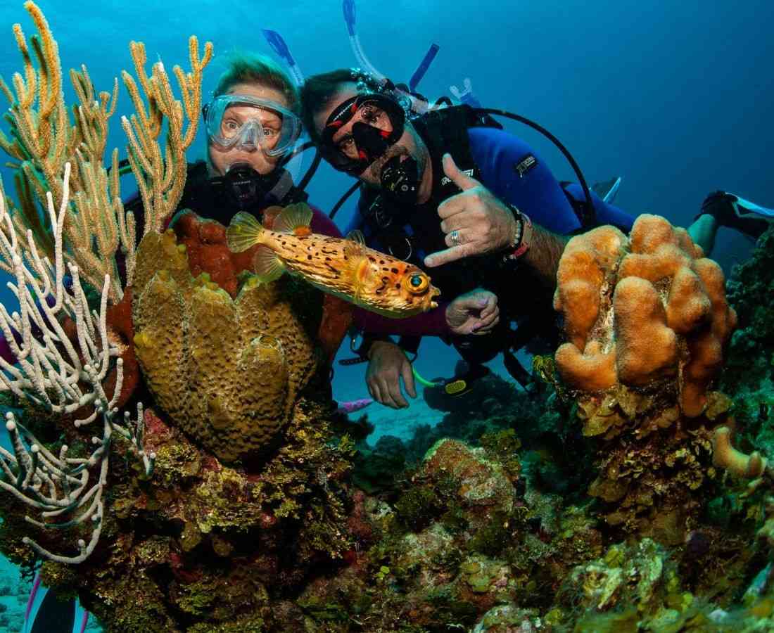 Family enjoying scuba diving in the crystal-clear waters of the Andaman Islands, exploring colorful coral reefs and tropical marine life.
